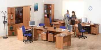 Мебель для персонала Альфа 61 Ольха в Горячегорске - goryachegorsk.mebel54.com | фото
